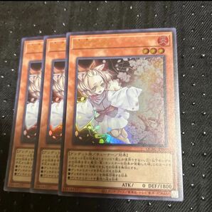 遊戯王 灰流うらら ウルトラ