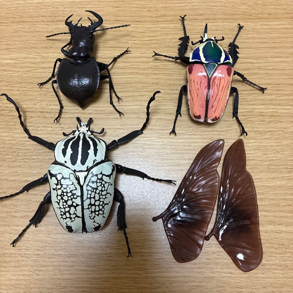 いきもの大図鑑 カプセルトイ 昆虫 フィギュア3種セット オリエンタリス オオエンマハンミョウ ウガンデンシス 中古 美品二手;物流保障;没有明显的损伤或污渍