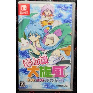 新品 ニンテンドーSwitch 雪ん娘大旋風 ～さゆきとこゆきのひえひえ大騒動～