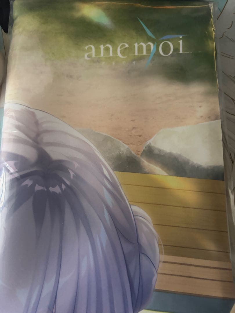 anemoi ソフマップ特典 B2Wスエードタペストリー 辻倉朱比華未使用