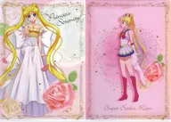 セーラームーン A4クリアファイルセット(2枚組) 「一番くじ 劇場版 美少女戦士セーラームーンEternal ～Princess Collection～」 F賞