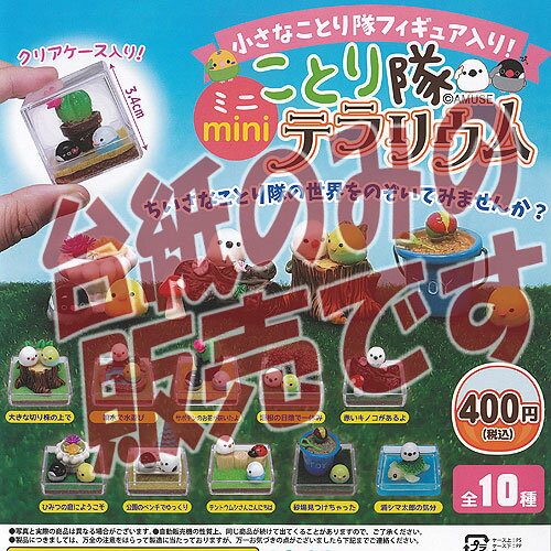 【非売品ディスプレイ台紙】小さなことり隊 フィギュア 入り ことり隊 ミニ テラリウム ガチャポン ガチャガチャ ガシャポン