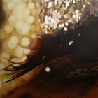 輸入盤 MEMORY TAPES / GRACE／CONFUSION [CD]