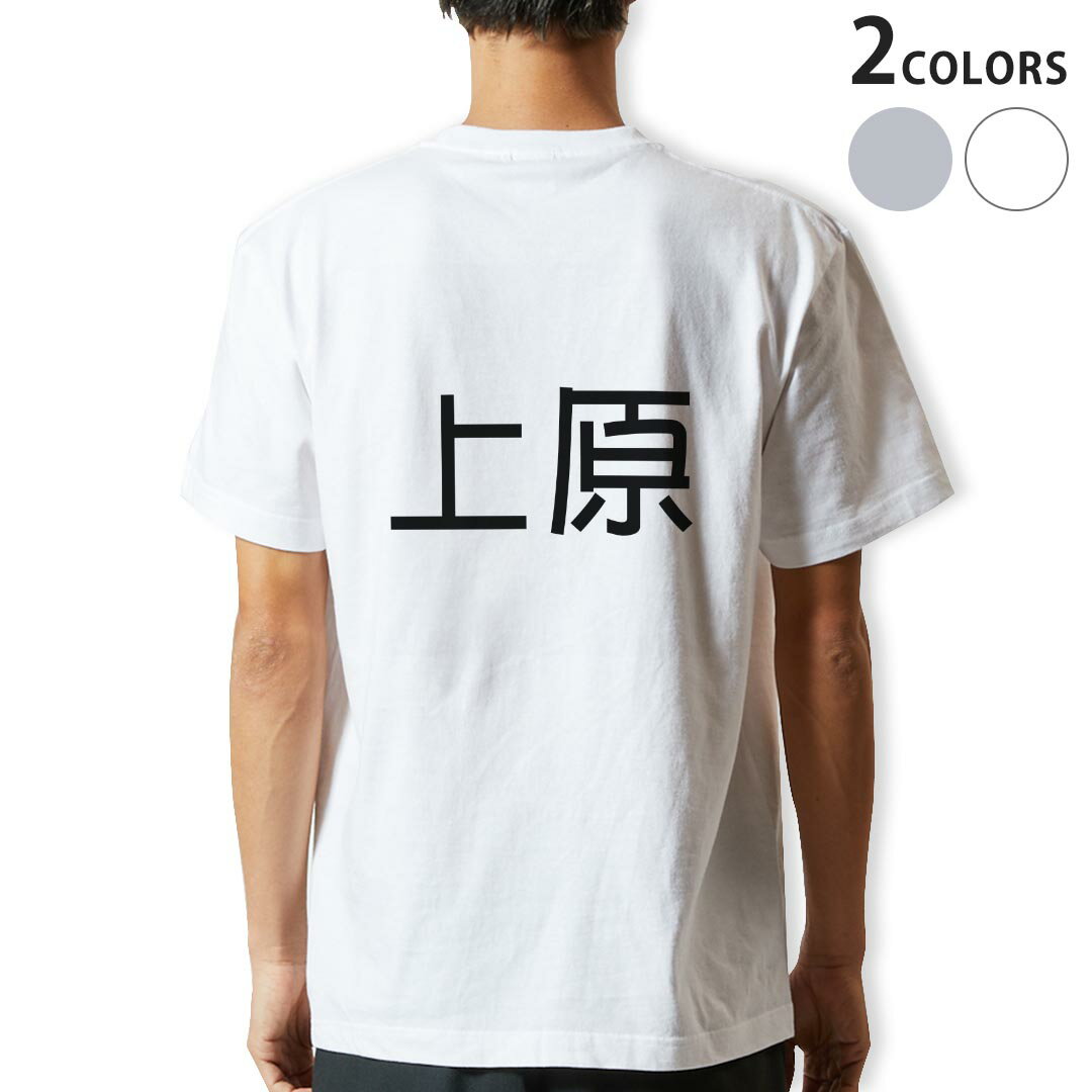Tシャツ メンズ バックプリント半袖 ホワイト グレー デザイン XS S M L XL 2XL tシャツ ティーシャツ T shirt 021663 苗字 名前 上原
