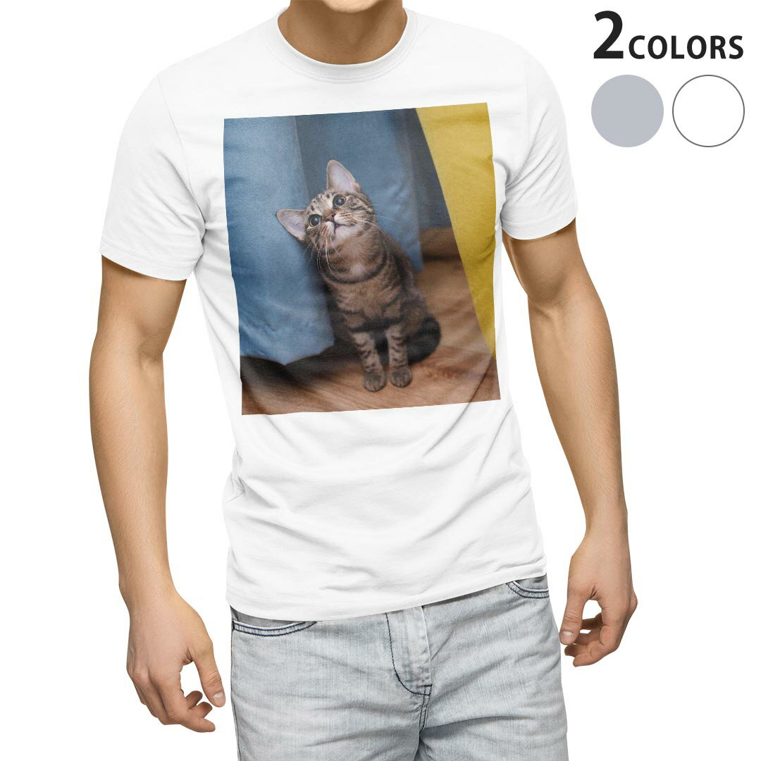 Tシャツ メンズ 半袖 ホワイト グレー デザイン S M L XL 2XL Tシャツ ティーシャツ T shirt 023082 猫　ねこ　動物　写真