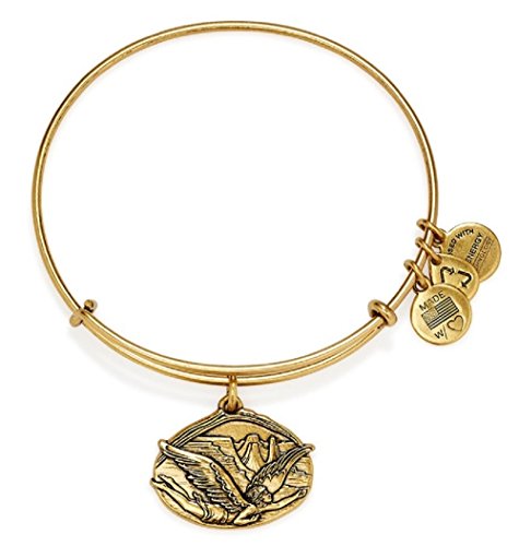 アレックスアンドアニ アメリカ アクセサリー ブランド かわいい Alex and Ani Guardian of Freedom Charm Bangle Rafaelian Gold Finish Bracelet, A14EB88RGアレックスアンドアニ アメリカ アクセサリー ブランド かわいい