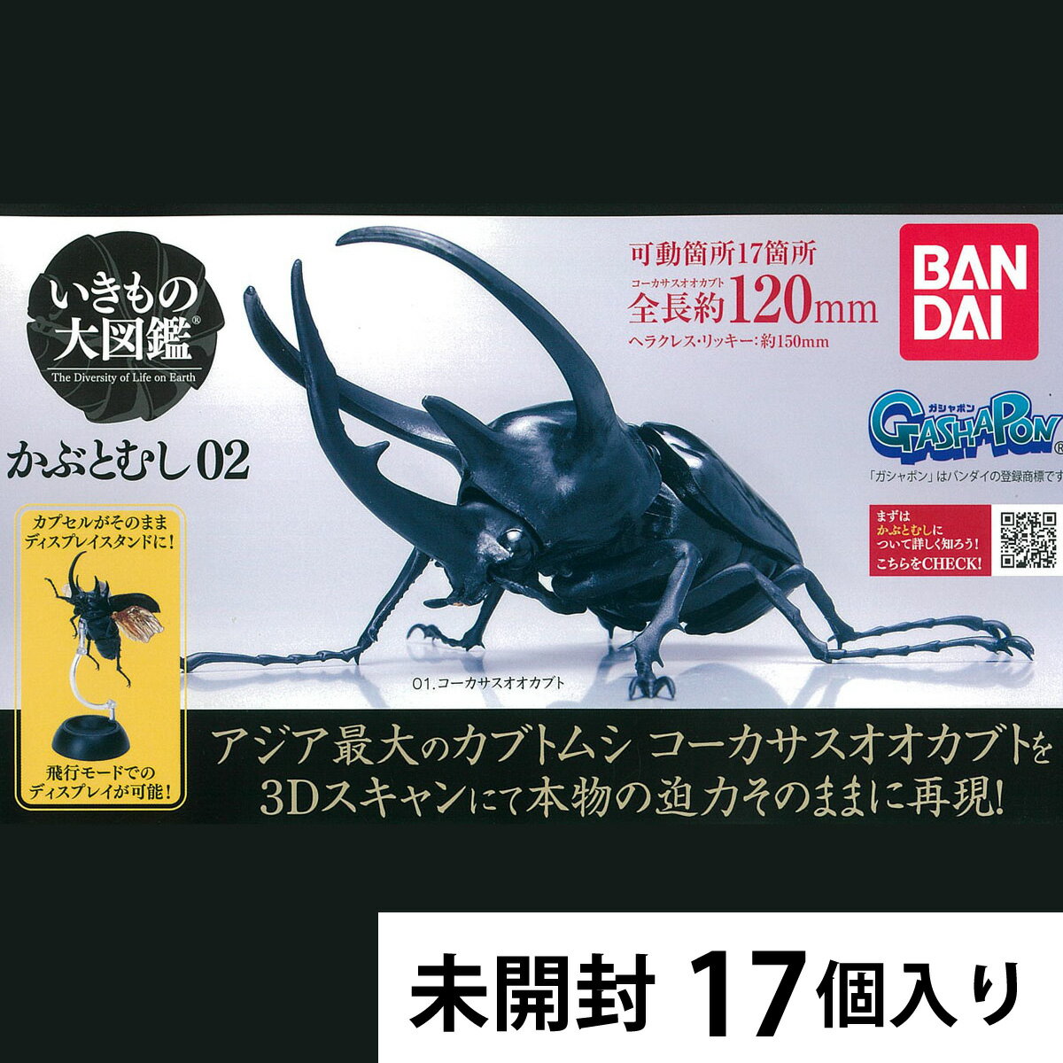 いきもの大図鑑 かぶとむし02 カプセルトイ 【17個入り】