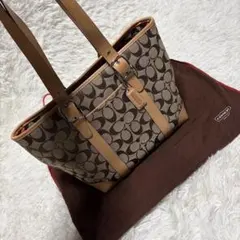 極美品✨ COACH コーチ 6042 トートバッグ シグネチャー キャンバス