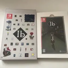 【動作確認済み】Nintendo Switch Ib 外箱アートブック付き