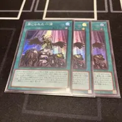 遊戯王 禁じられた一滴 3枚 スーパーレア　ROTD