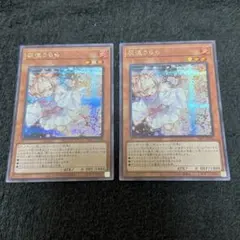 灰流うらら　シク　2枚セット　PAC1-JP016